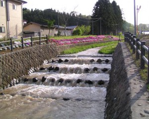 3) 深みや瀬のある水路